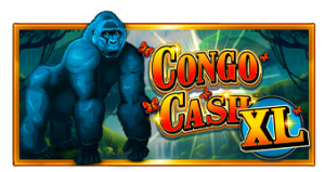 Congo Cash XL